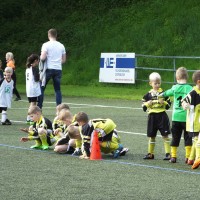 TSV Jugendturnier 2017